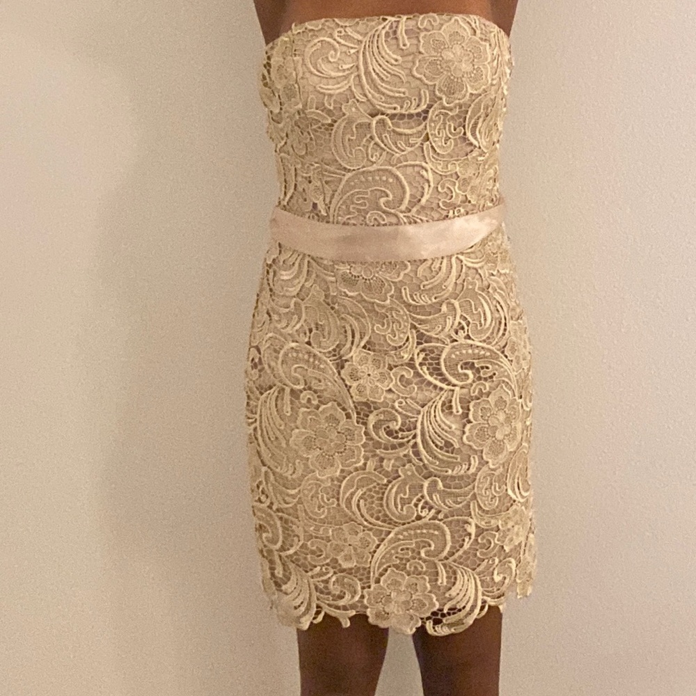 Exquisite Dress!